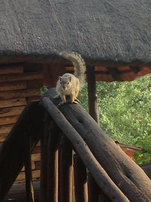 Adansonia Eco Lodge Мусіна Екстер'єр фото