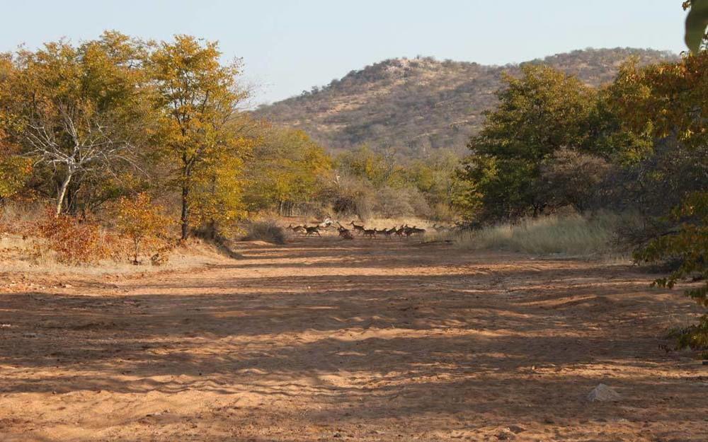 Adansonia Eco Lodge Мусіна Екстер'єр фото