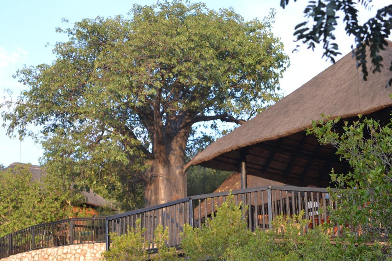 Adansonia Eco Lodge Мусіна Екстер'єр фото