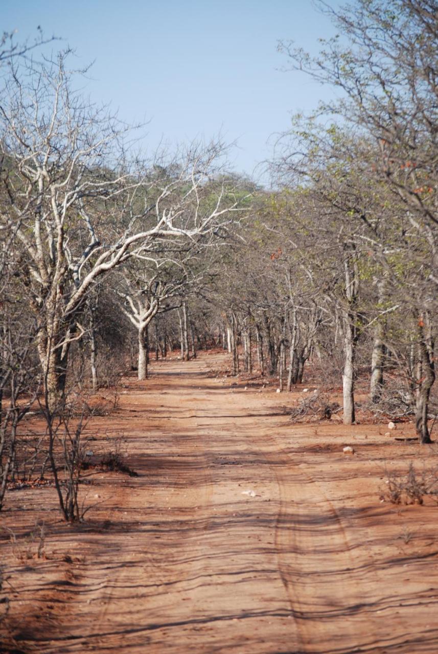 Adansonia Eco Lodge Мусіна Екстер'єр фото